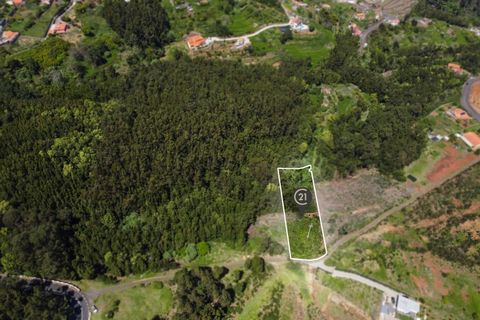Terra a Gaula, Madeira, Gaula - € 75.000 | Ref: C0216-03327 - foto 15