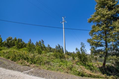 Terra a Gaula, Madeira, Gaula - € 75.000 | Ref: C0216-03327 - foto 16