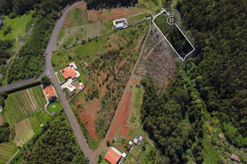 Terra a Gaula, Madeira, Gaula - € 75.000 | Ref: C0216-03327 - foto 17