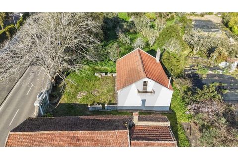 Farm i Sintra, Lisbon, Sintra - € 650.000 | Ref: KWPT-023370 - foto 2