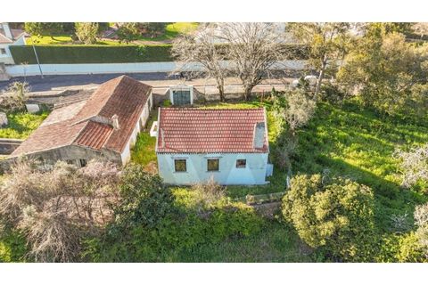 Farm i Sintra, Lisbon, Sintra - € 650.000 | Ref: KWPT-023370 - foto 3