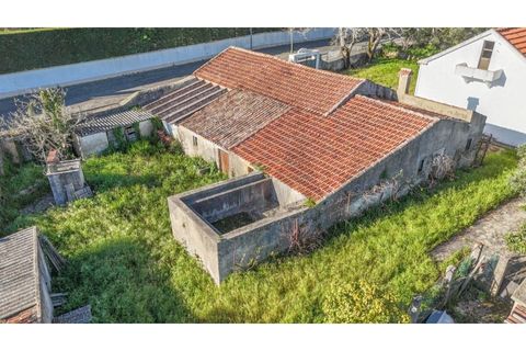 Farm i Sintra, Lisbon, Sintra - € 650.000 | Ref: KWPT-023370 - foto 4