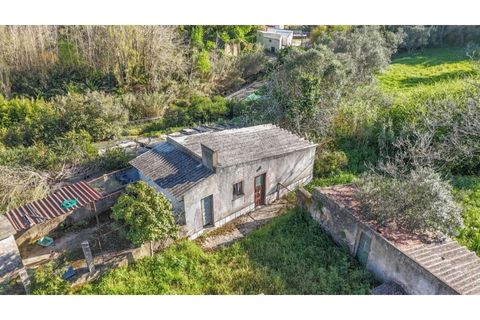 Farm i Sintra, Lisbon, Sintra - € 650.000 | Ref: KWPT-023370 - foto 5