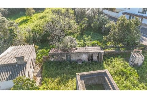 Farm i Sintra, Lisbon, Sintra - € 650.000 | Ref: KWPT-023370 - foto 6