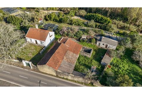 Farm i Sintra, Lisbon, Sintra - € 650.000 | Ref: KWPT-023370 - foto 8