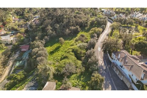 Farm i Sintra, Lisbon, Sintra - € 650.000 | Ref: KWPT-023370 - foto 11