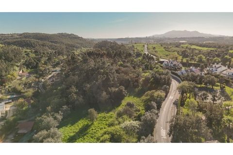 Farm i Sintra, Lisbon, Sintra - € 650.000 | Ref: KWPT-023370 - foto 12