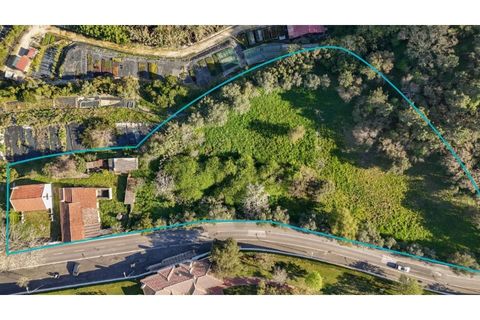 Farm i Sintra, Lisbon, Sintra - € 650.000 | Ref: KWPT-023370 - foto 13