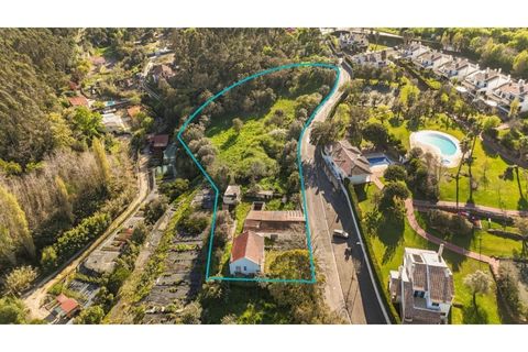 Farm i Sintra, Lisbon, Sintra - € 650.000 | Ref: KWPT-023370 - foto 14