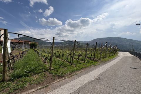 Terra a Cembra Lisignago, Trento, Cembra Lisignago - € 90.000 | Ref: TL01174 - foto 2