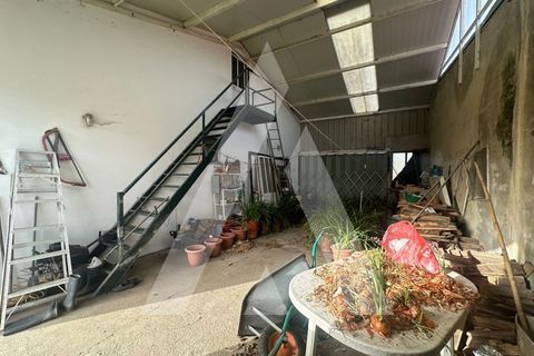Villa i Anadia, Aveiro, Anadia - € 280.000 | Ref: 1051401/26 OB - foto 30