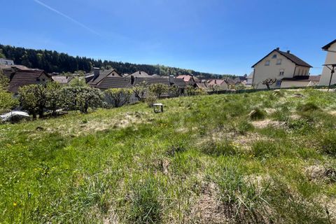 Terra a Maîche, Doubs, Maîche - € 65.000 | Ref: 2073-MAI - foto 2