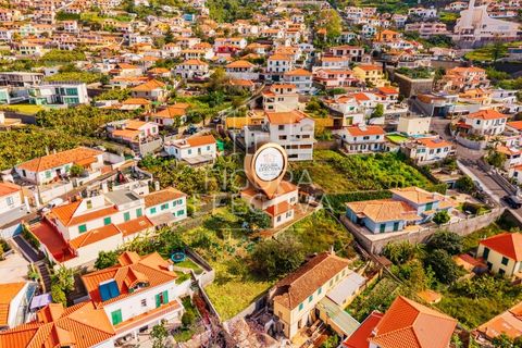 Landejendom i Funchal, Madeira, Funchal - € 495.000 | Ref: CAS_278 - foto 11