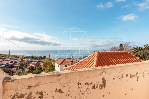 Landejendom i Funchal, Madeira, Funchal - € 495.000 | Ref: CAS_278 - foto 22