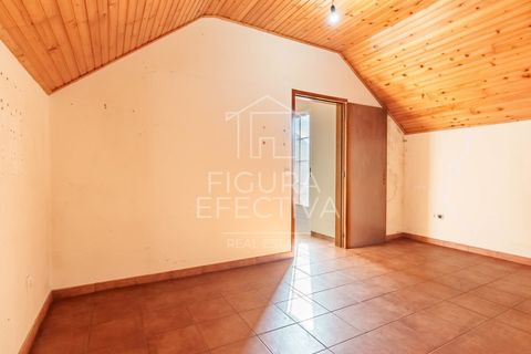 Landejendom i Funchal, Madeira, Funchal - € 495.000 | Ref: CAS_278 - foto 27