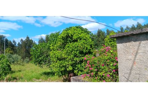 Helårsgrund i Macao, Santarem, Macao - € 39.900 | Ref: SÒL_399 - foto 7