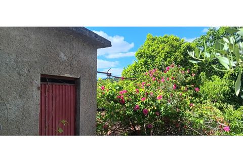 Helårsgrund i Macao, Santarem, Macao - € 39.900 | Ref: SÒL_399 - foto 8