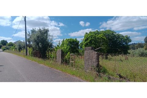 Helårsgrund i Macao, Santarem, Macao - € 39.900 | Ref: SÒL_399 - foto 10