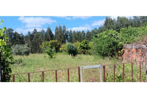 Helårsgrund i Macao, Santarem, Macao - € 39.900 | Ref: SÒL_399 - foto 11