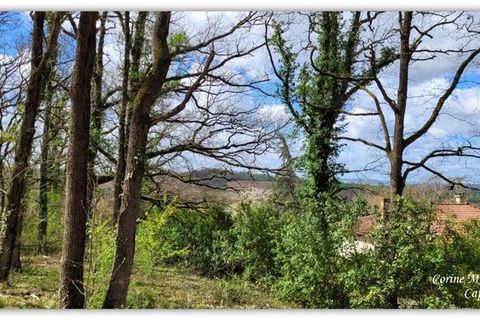 Villa a Astaffort, Lot-et-Garonne, Astaffort - € 145.000 | Ref: 340935351414 - foto 3