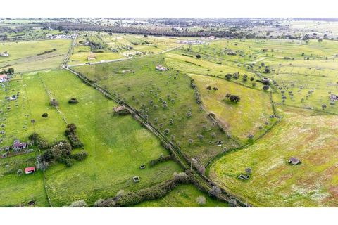 Helårsgrund i Nisa, Portalegre, Nisa - € 130.000 | Ref: KWPT-014820 - foto 1