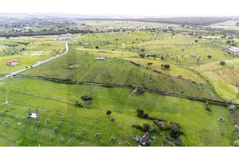 Helårsgrund i Nisa, Portalegre, Nisa - € 130.000 | Ref: KWPT-014820 - foto 2
