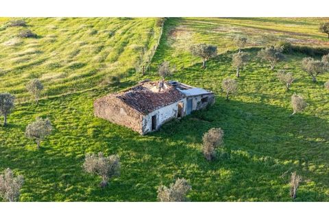 Helårsgrund i Nisa, Portalegre, Nisa - € 130.000 | Ref: KWPT-014820 - foto 3