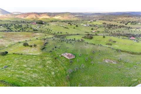 Helårsgrund i Nisa, Portalegre, Nisa - € 130.000 | Ref: KWPT-014820 - foto 4