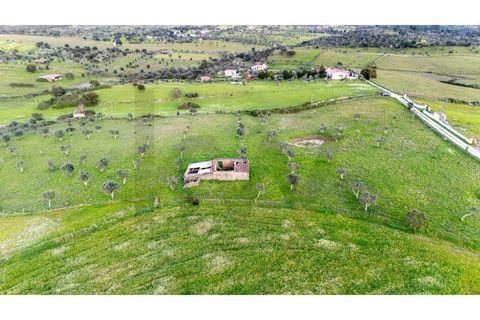 Helårsgrund i Nisa, Portalegre, Nisa - € 130.000 | Ref: KWPT-014820 - foto 7