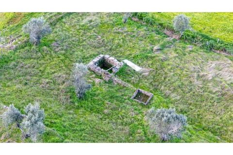 Helårsgrund i Nisa, Portalegre, Nisa - € 130.000 | Ref: KWPT-014820 - foto 8