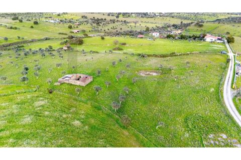 Helårsgrund i Nisa, Portalegre, Nisa - € 130.000 | Ref: KWPT-014820 - foto 10