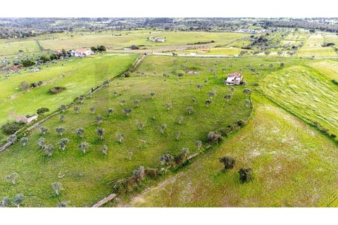 Helårsgrund i Nisa, Portalegre, Nisa - € 130.000 | Ref: KWPT-014820 - foto 11