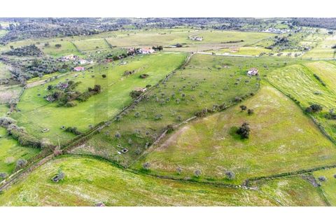 Helårsgrund i Nisa, Portalegre, Nisa - € 130.000 | Ref: KWPT-014820 - foto 12