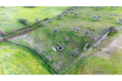 Helårsgrund i Nisa, Portalegre, Nisa - € 130.000 | Ref: KWPT-014820 - foto 13