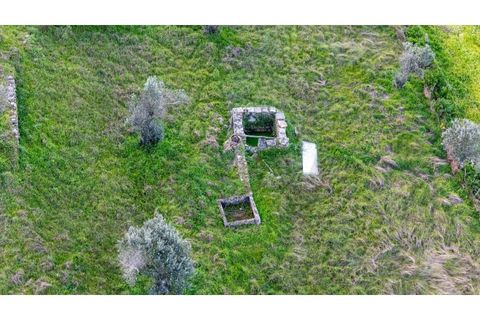 Helårsgrund i Nisa, Portalegre, Nisa - € 130.000 | Ref: KWPT-014820 - foto 14
