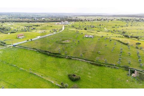Helårsgrund i Nisa, Portalegre, Nisa - € 130.000 | Ref: KWPT-014820 - foto 15