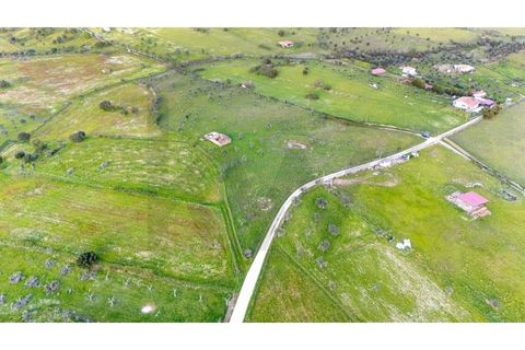 Helårsgrund i Nisa, Portalegre, Nisa - € 130.000 | Ref: KWPT-014820 - foto 17