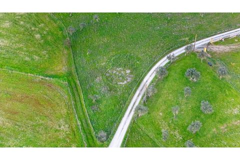 Helårsgrund i Nisa, Portalegre, Nisa - € 130.000 | Ref: KWPT-014820 - foto 18