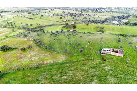Helårsgrund i Nisa, Portalegre, Nisa - € 130.000 | Ref: KWPT-014820 - foto 19