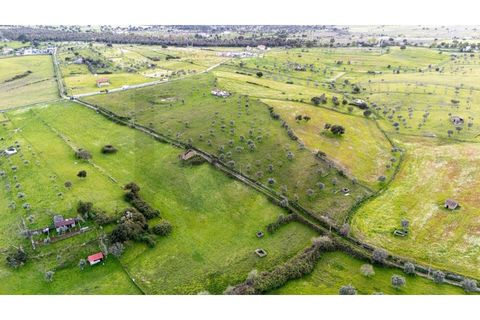 Helårsgrund i Nisa, Portalegre, Nisa - € 130.000 | Ref: KWPT-014820 - foto 20