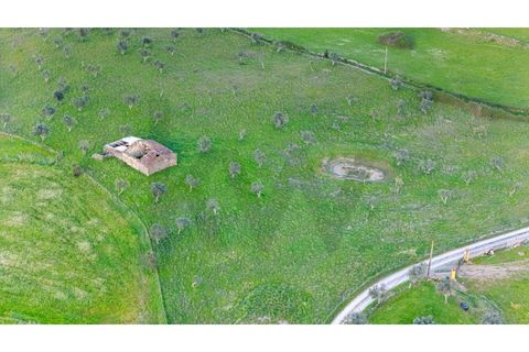 Helårsgrund i Nisa, Portalegre, Nisa - € 130.000 | Ref: KWPT-014820 - foto 21