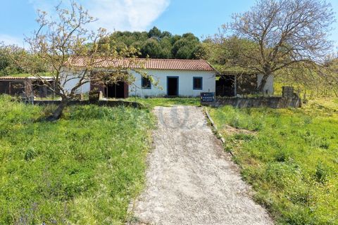 Villa a Alenquer, Lisbon, Alenquer - € 159.000 | Ref: 179/26 - foto 26