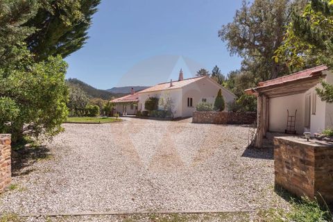 Villa i Monchique, Faro, Monchique - € 890.000 | Ref: Qt-975 - foto 2