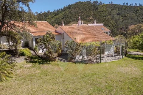 Villa i Monchique, Faro, Monchique - € 890.000 | Ref: Qt-975 - foto 42