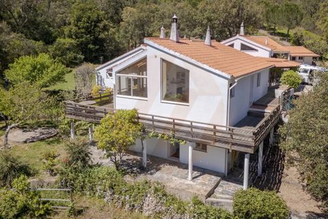 Villa i Monchique, Faro, Monchique - € 890.000 | Ref: Qt-975 - foto 4