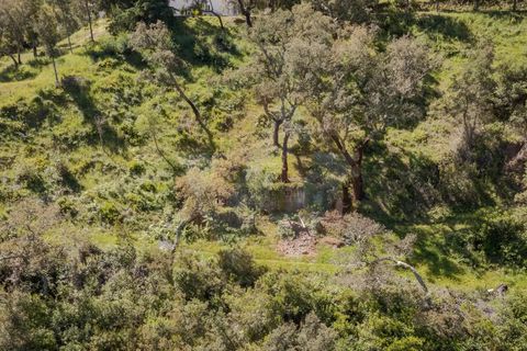Villa i Monchique, Faro, Monchique - € 890.000 | Ref: Qt-975 - foto 6