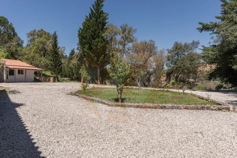 Villa i Monchique, Faro, Monchique - € 890.000 | Ref: Qt-975 - foto 8