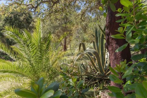 Villa i Monchique, Faro, Monchique - € 890.000 | Ref: Qt-975 - foto 11