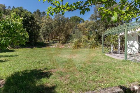 Villa i Monchique, Faro, Monchique - € 890.000 | Ref: Qt-975 - foto 12