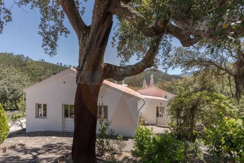 Villa i Monchique, Faro, Monchique - € 890.000 | Ref: Qt-975 - foto 13